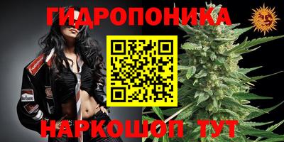 сатива Бузулук