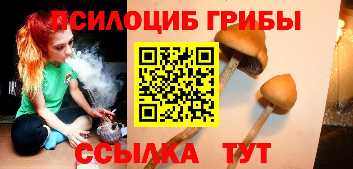 Псилоцибиновые грибы Cubensis  Вход с VPN  Малгобек 